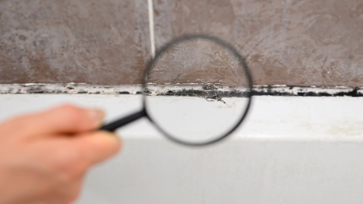 Fresh silicone caulking around a shower